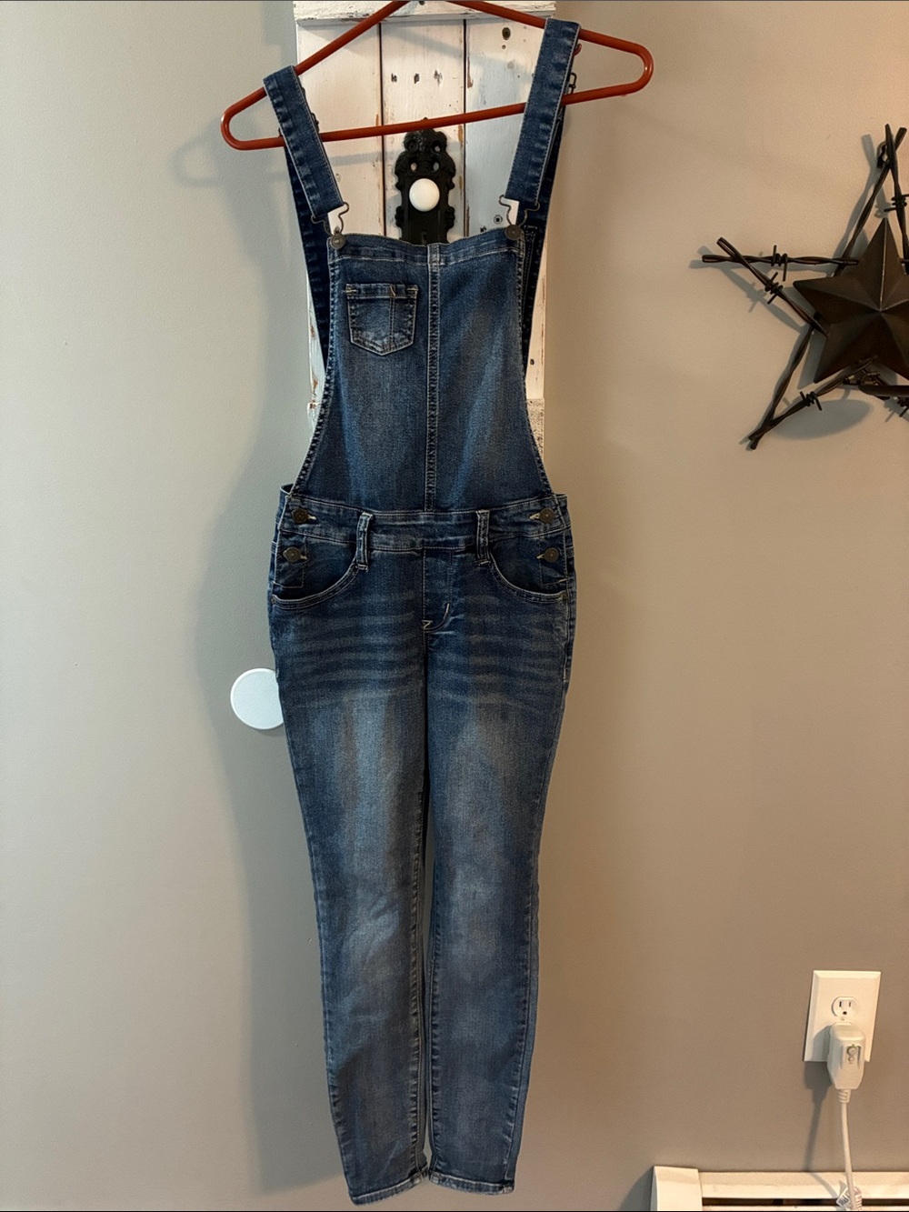 Wallflower Jean skinny leg overalls